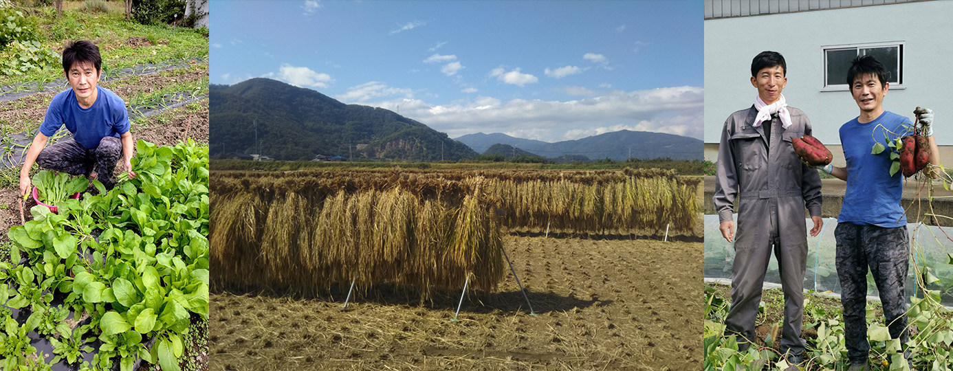 伊藤シェフ１農園２